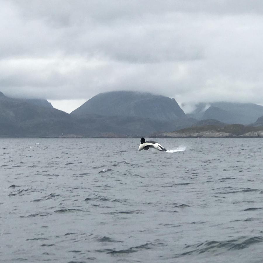 Fishermans Rorbu 1 - Lofoten Appartement Ramberg